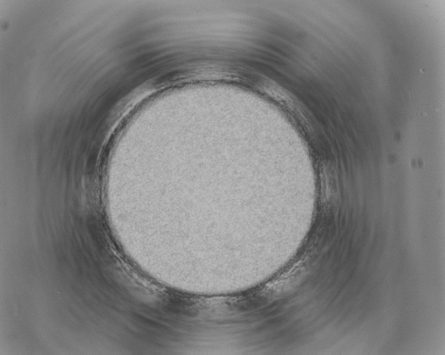 X0000072960828200608111649