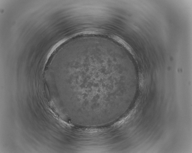 X0000072960829200608111649