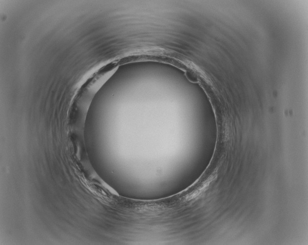 X0000072960830200608111649