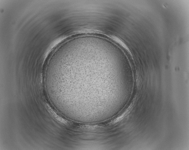 X0000072960831200608111649