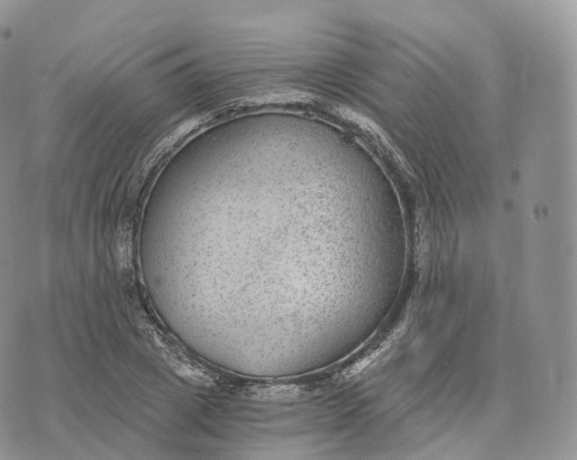 X0000072960833200608111649