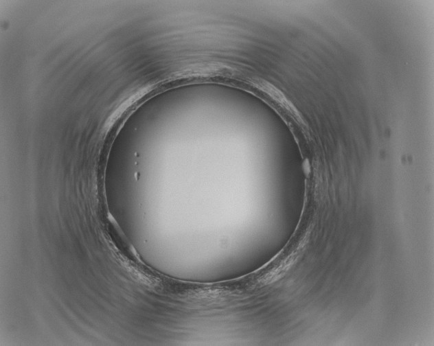 X0000072960834200608111649