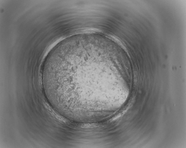 X0000072960835200608111649