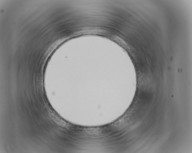 X0000072960836200608111649