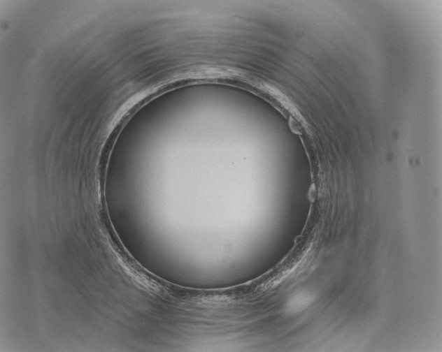 X0000072960837200608111649