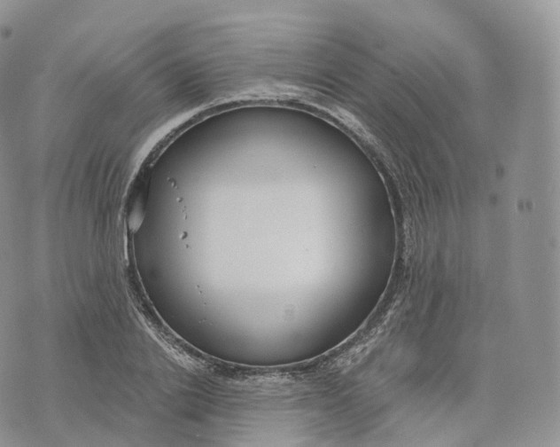 X0000072960838200608111649