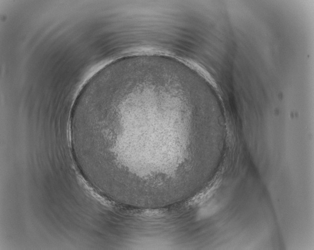 X0000072960839200608111649