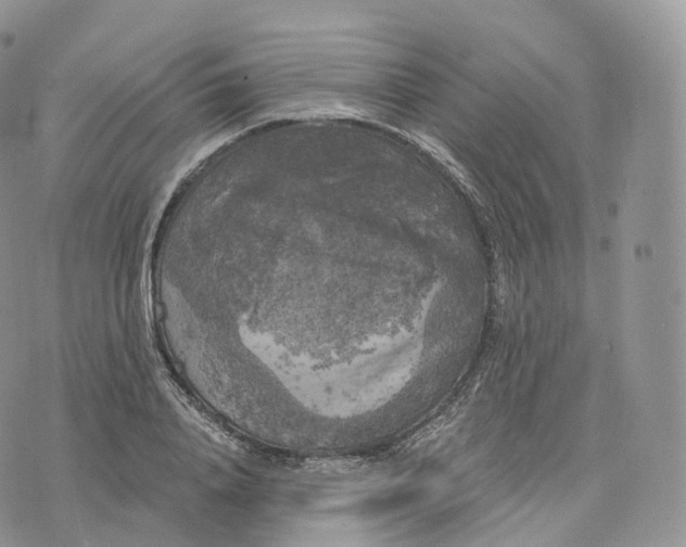 X0000072960840200608111649