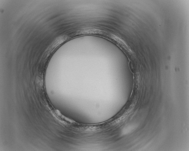 X0000072960841200608111649