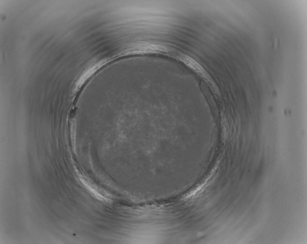 X0000072960842200608111649