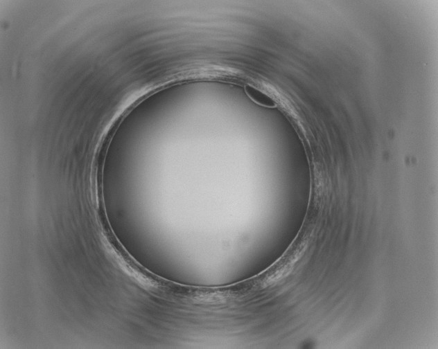 X0000072960843200608111649