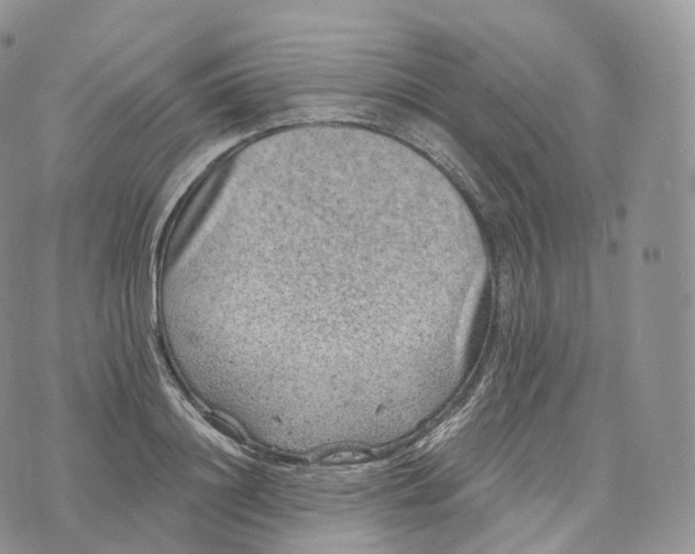 X0000072960844200608111649