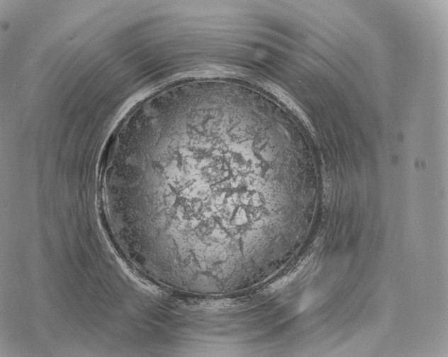 X0000072960845200608111649