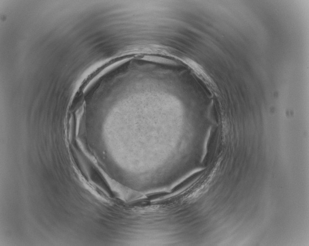 X0000072960846200608111649