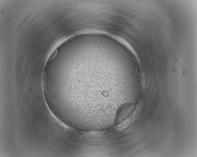 X0000072960847200608111649