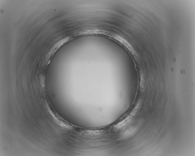 X0000072960849200608111649