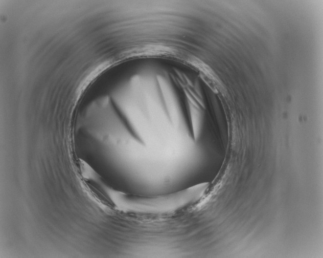 X0000072960850200608111649