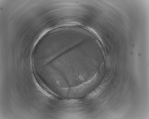 X0000072960851200608111649