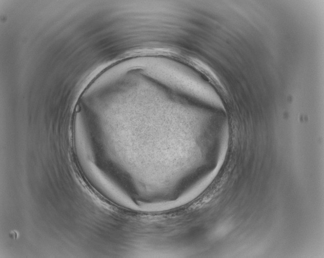 X0000072960852200608111649