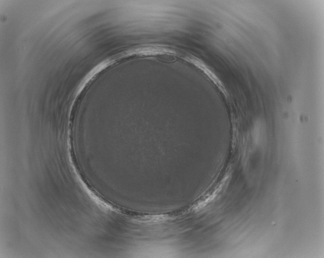 X0000072960853200608111649