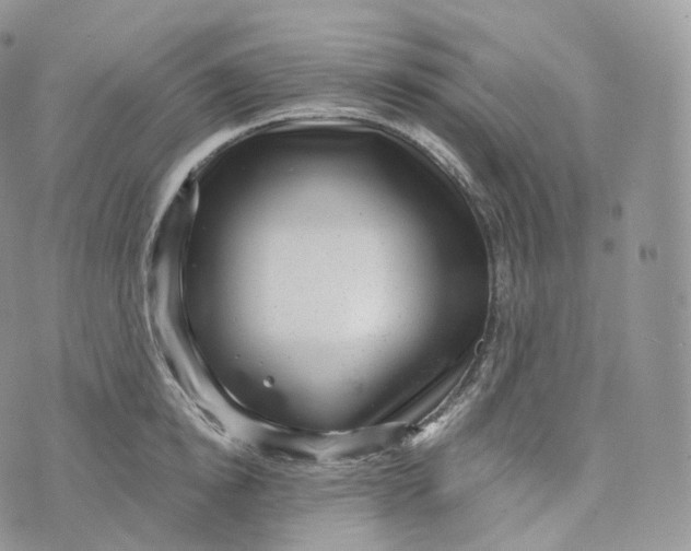 X0000072960854200608111649