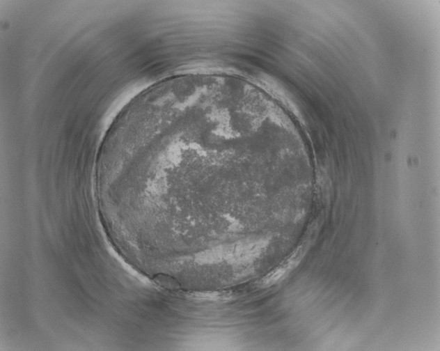 X0000072960855200608111649