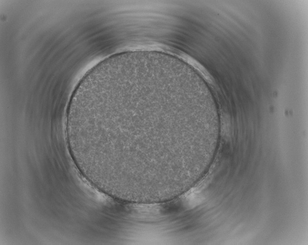 X0000072960856200608111649