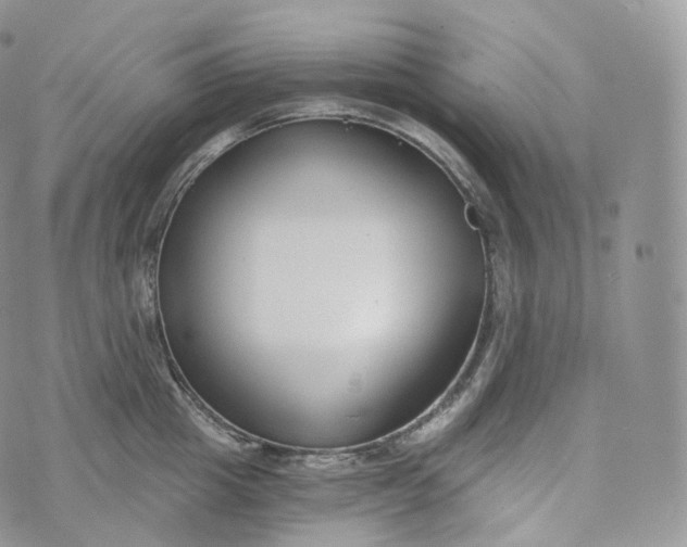 X0000072960857200608111649