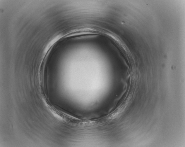 X0000072960858200608111649