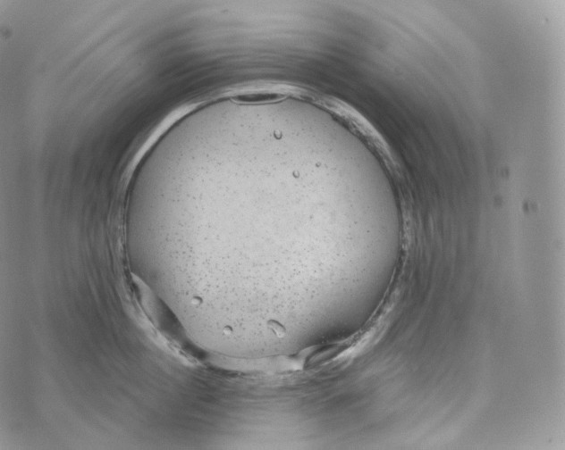 X0000072960860200608111649