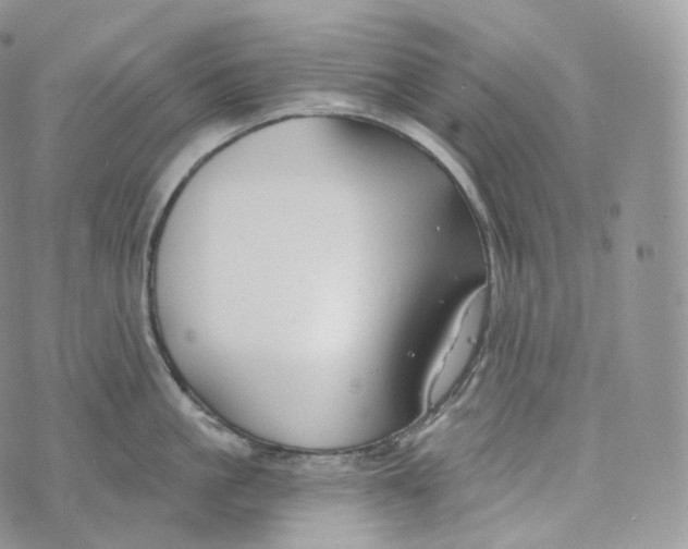 X0000072960861200608111649