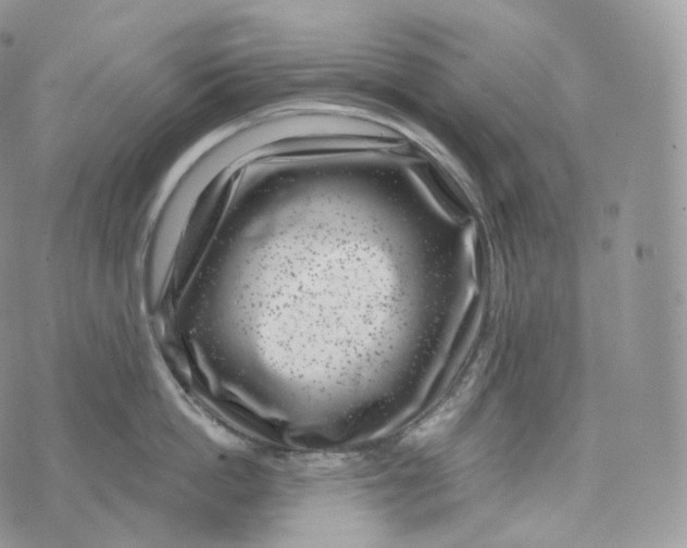 X0000072960862200608111649