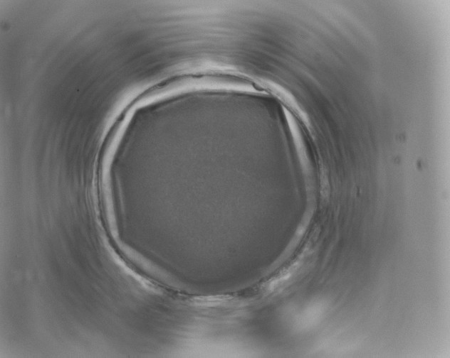 X0000072960863200608111649