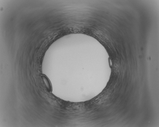 X0000072960865200608111648