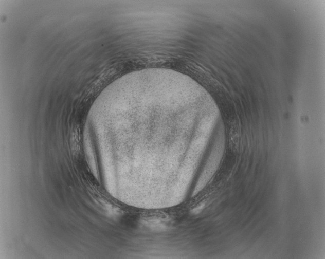 X0000072960866200608111648