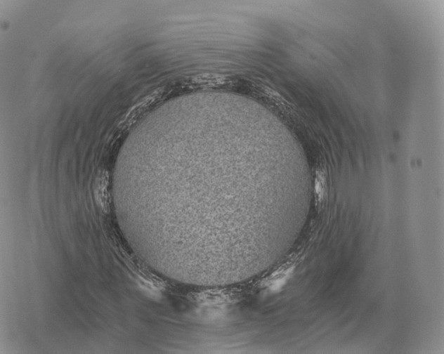 X0000072960867200608111648