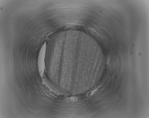 X0000072960868200608111648