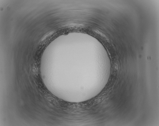 X0000072960869200608111648