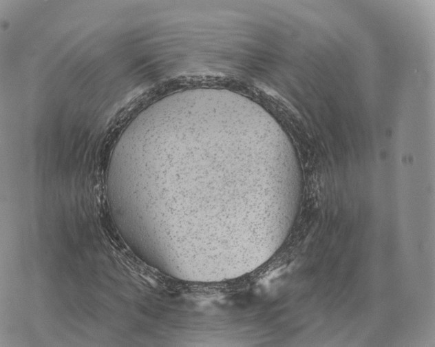 X0000072960870200608111648