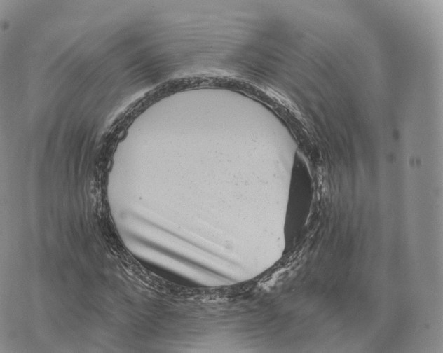 X0000072960872200608111648