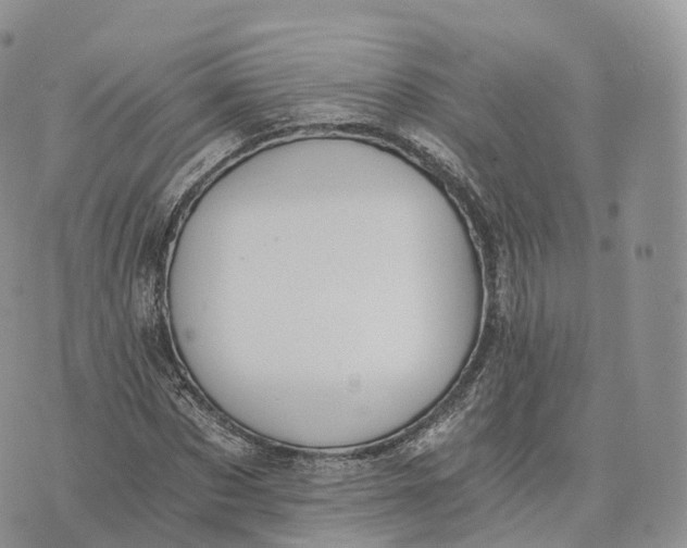 X0000072960873200608111648