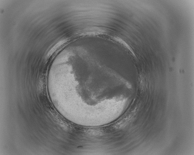 X0000072960874200608111648