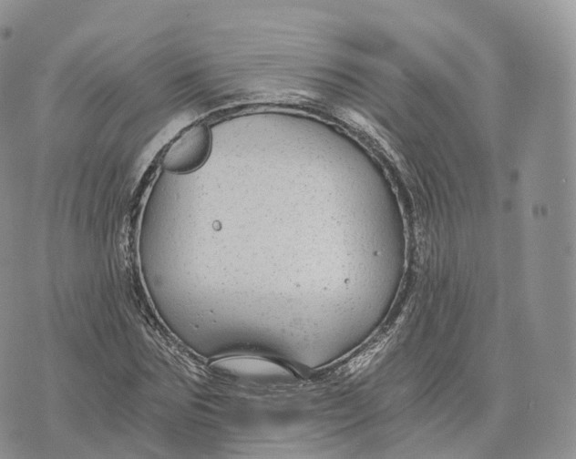 X0000072960875200608111648