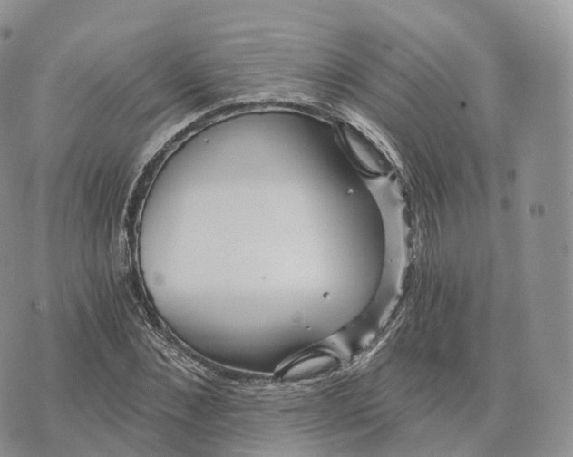 X0000072960876200608111648