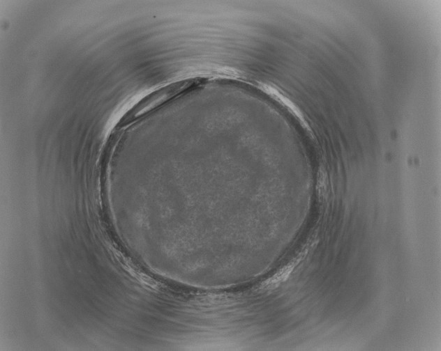 X0000072960877200608111648