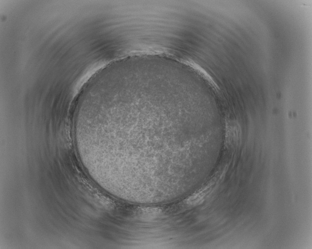 X0000072960878200608111648