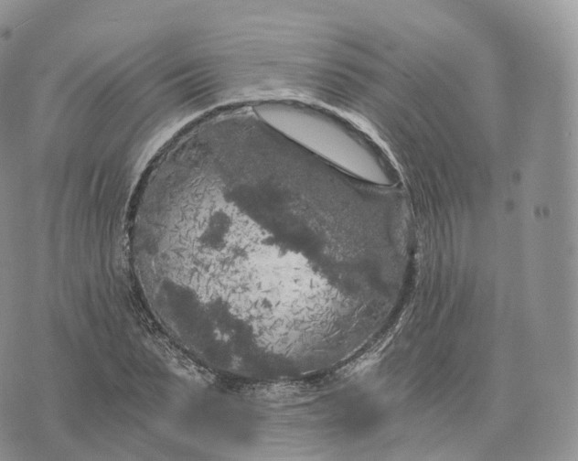 X0000072960879200608111648