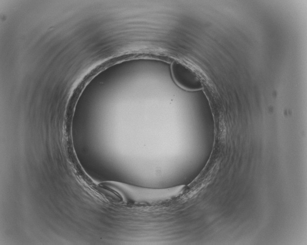 X0000072960880200608111648