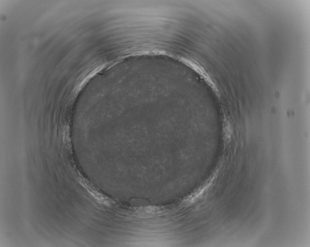 X0000072960881200608111648