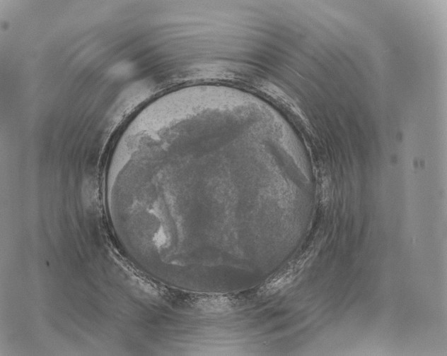 X0000072960882200608111648